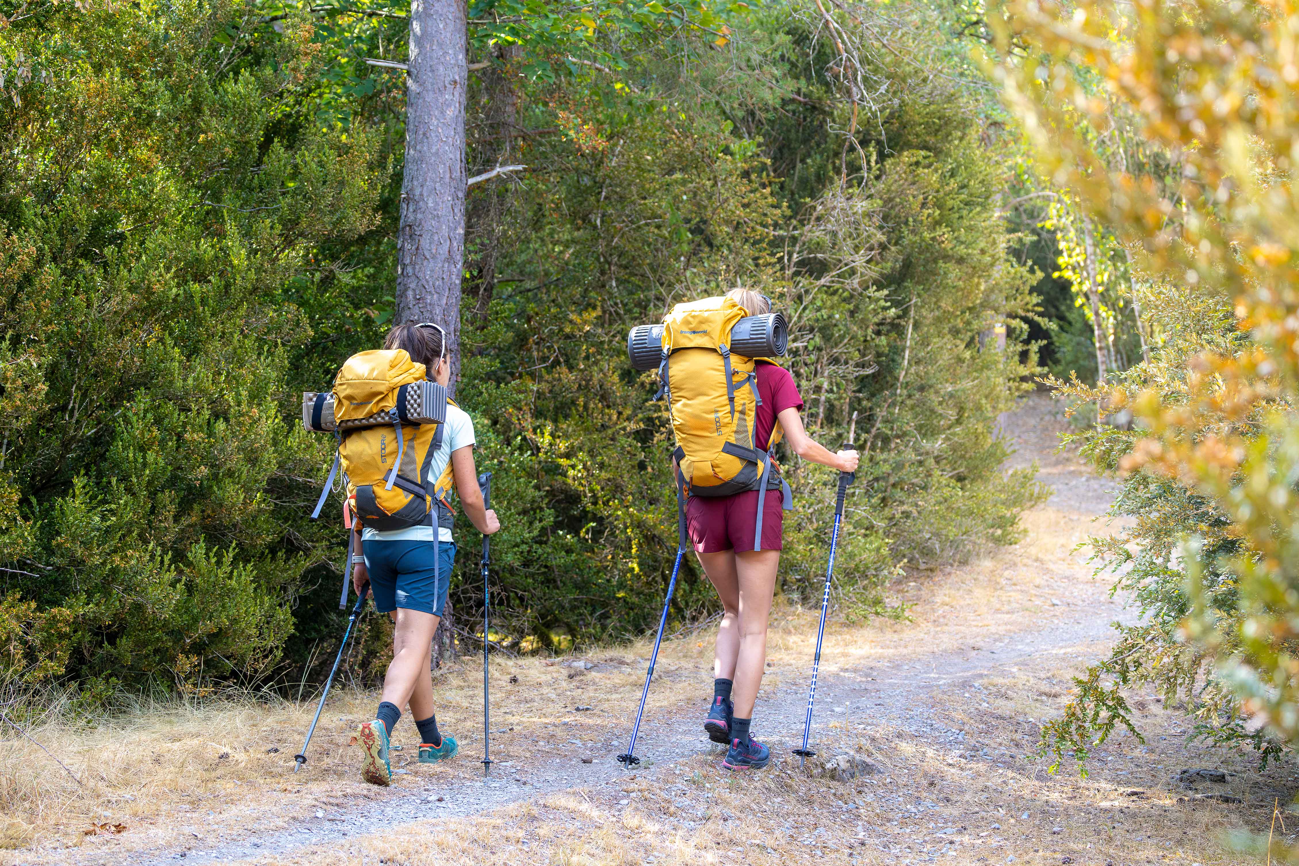 Senderistas con mochilas alejándose por sendero boscoso Dos senderistas con mochilas y bastones caminando de espaldas por un bosque
